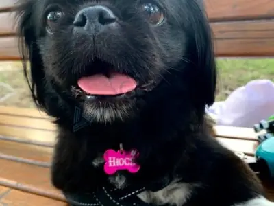 Кісточка алюмінієва Кісточка алюмінієва