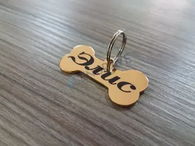 Кісточка сталева