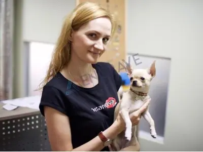 Кісточка сталева