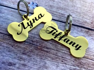 Кісточка сталева