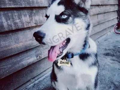 Кісточка сталева