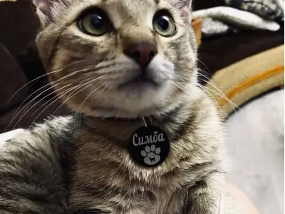 Круглий адресник