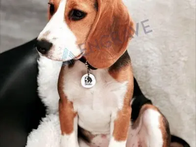 Круглий адресник