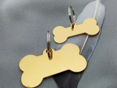 Кісточка сталева