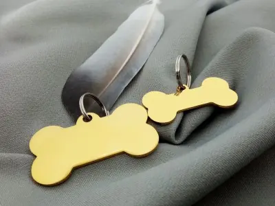 Кісточка сталева