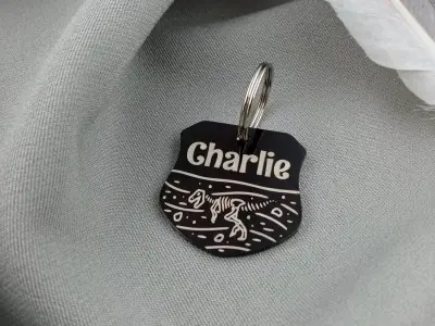 Поліцейський жетон