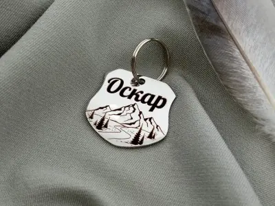 Поліцейський жетон